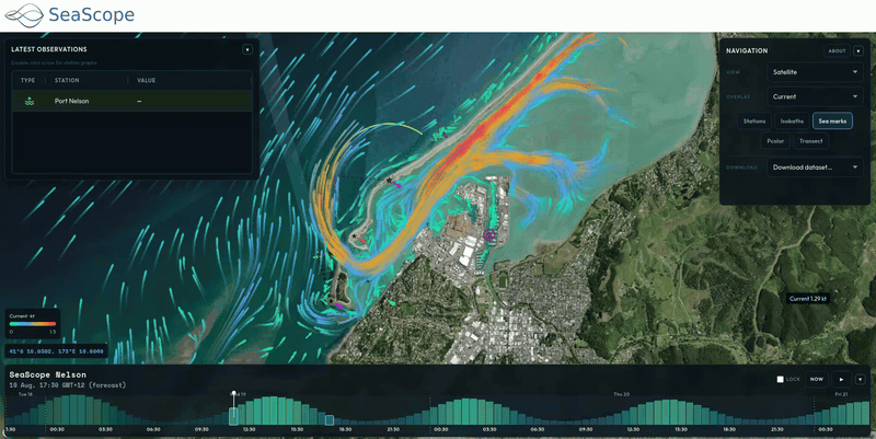 SeaScope Nelson preview