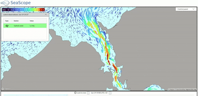 SeaScope Tamar preview